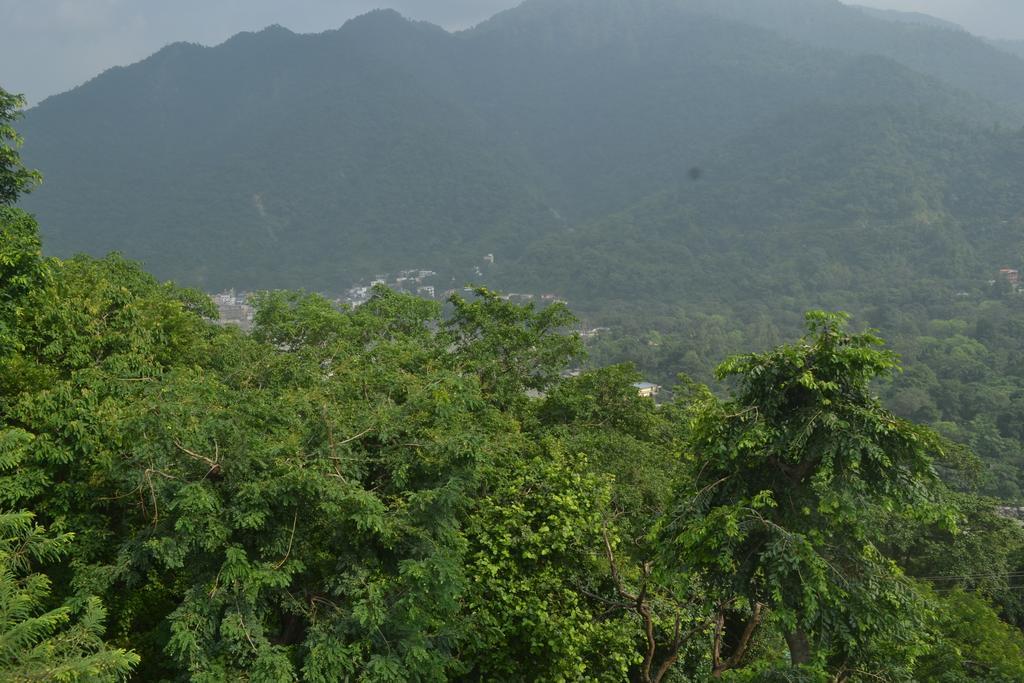 Mount Valley Mama Cottage Rishīkesh Chambre photo