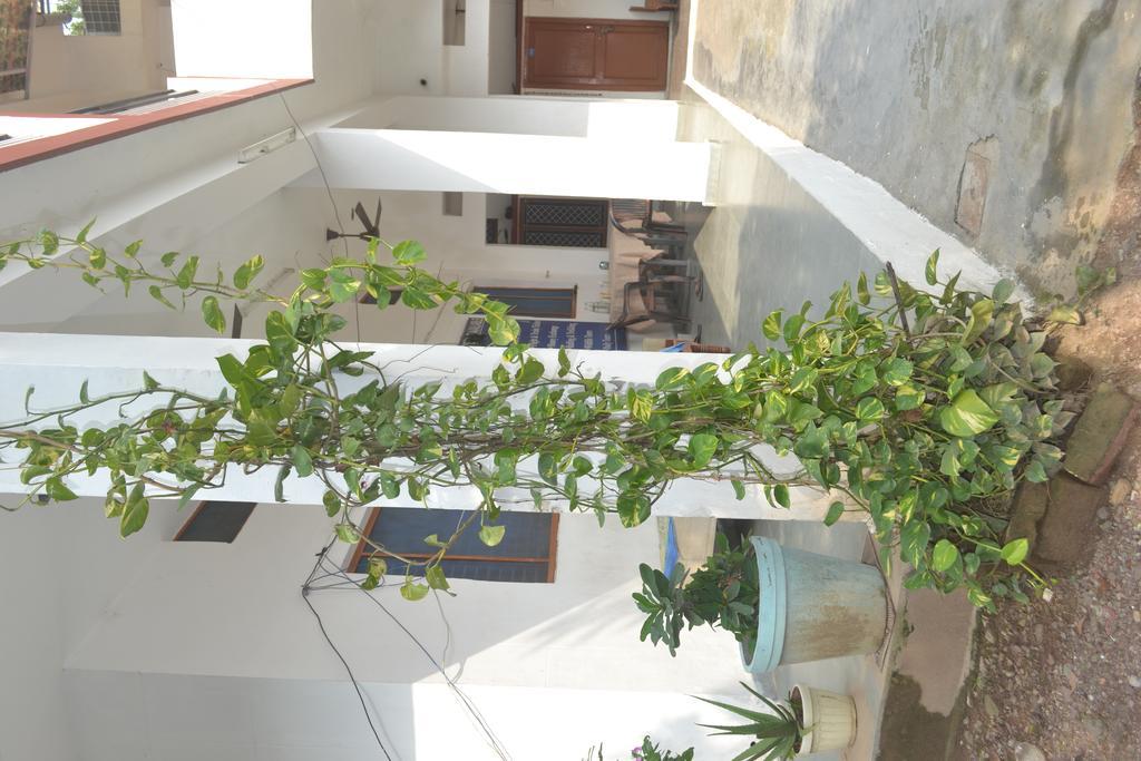 Mount Valley Mama Cottage Rishīkesh Extérieur photo